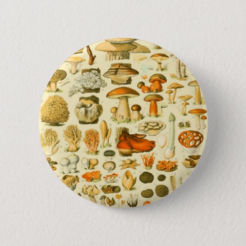 Mushroom Vintage Toadstool Antique Illustration Button