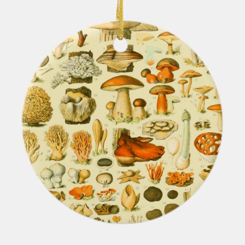 Mushroom Vintage Toadstool Antique Illustration Ceramic Ornament