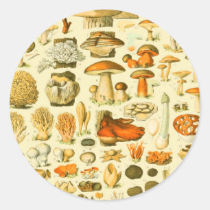 Mushroom Vintage Toadstool Antique Illustration Classic Round Sticker