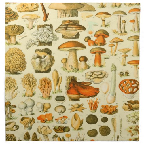 Mushroom Vintage Toadstool Antique Illustration Cloth Napkin