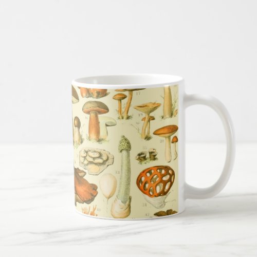 Mushroom Vintage Toadstool Antique Illustration Coffee Mug