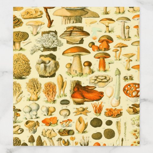 Mushroom Vintage Toadstool Antique Illustration Envelope Liner