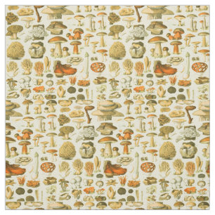 Mushroom Vintage Toadstool Antique Illustration Fabric