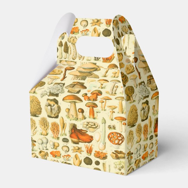 Mushroom Vintage Toadstool Antique Illustration Favor Boxes (Front Side)