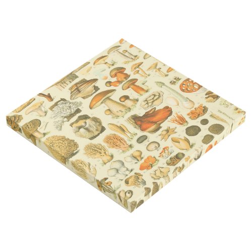 Mushroom Vintage Toadstool Antique Illustration Gallery Wrap