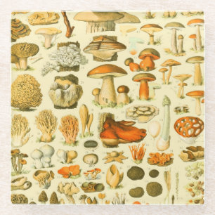 Mushroom Vintage Toadstool Antique Illustration Glass Coaster