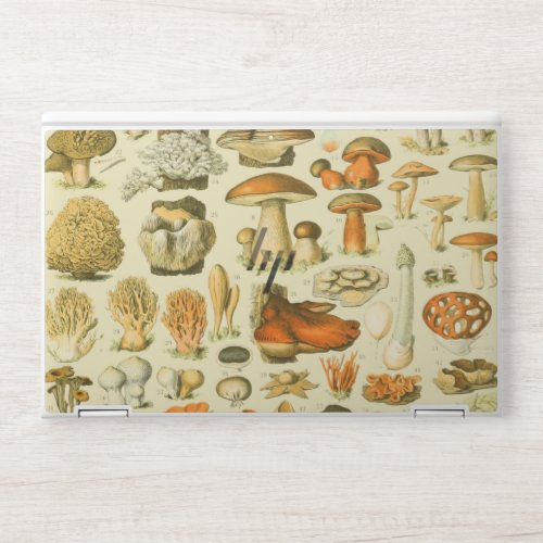 Mushroom Vintage Toadstool Antique Illustration HP Laptop Skin