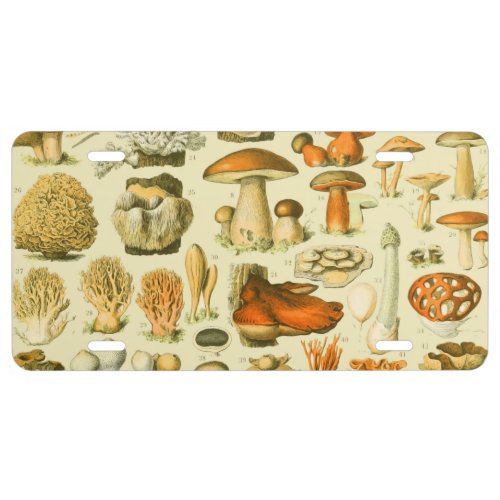 Mushroom Vintage Toadstool Antique Illustration License Plate