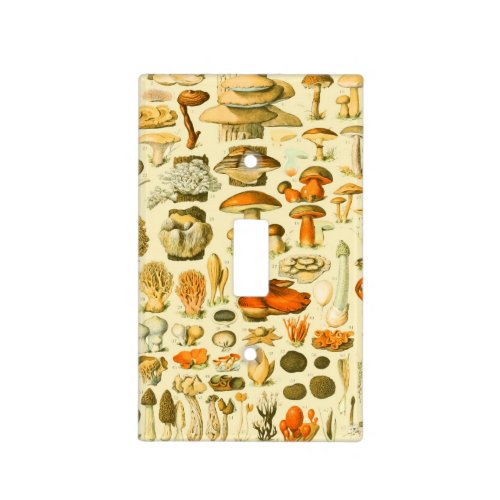 Mushroom Vintage Toadstool Antique Illustration Light Switch Cover