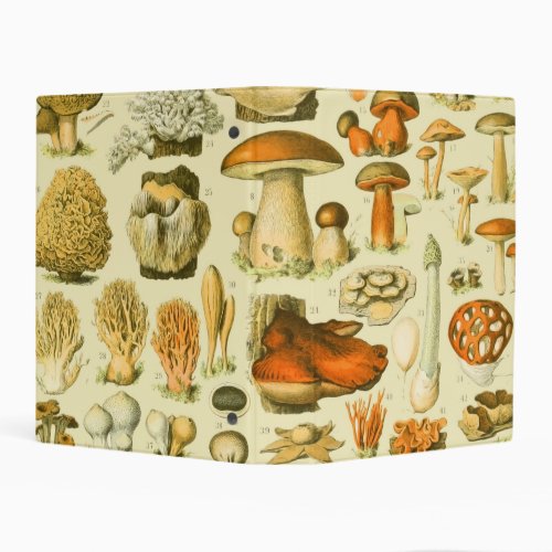 Mushroom Vintage Toadstool Antique Illustration Mini Binder
