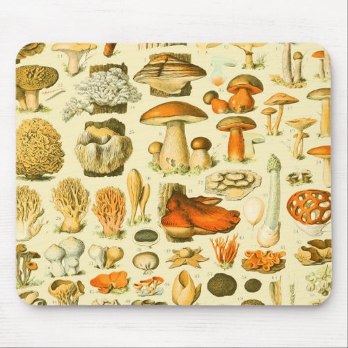 Mushroom Vintage Toadstool Antique Illustration Mouse Pad