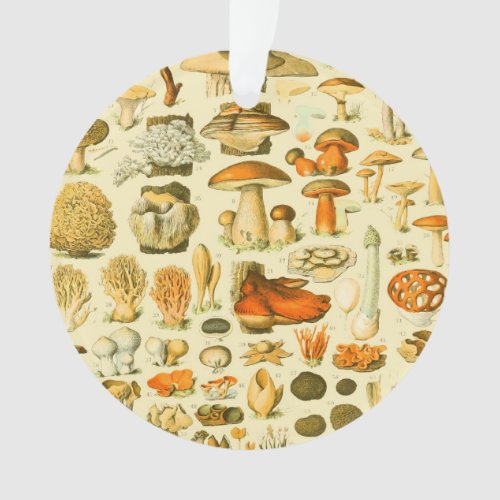 Mushroom Vintage Toadstool Antique Illustration Ornament