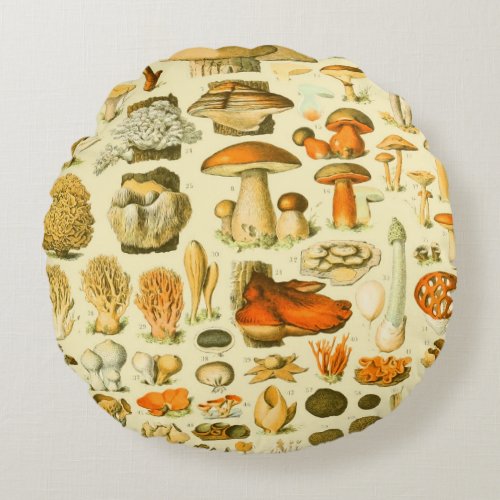 Mushroom Vintage Toadstool Antique Illustration Round Pillow