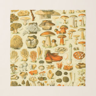 Mushroom Vintage Toadstool Antique Illustration Scarf