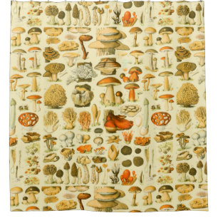 Mushroom Vintage Toadstool Antique Illustration Shower Curtain
