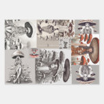 Mushroom Vogue Lady Wrapping Paper Sheets