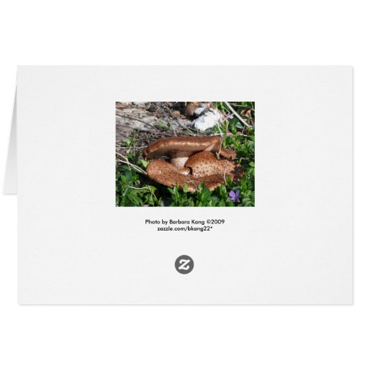 Mushrooms (Back Horizontal)