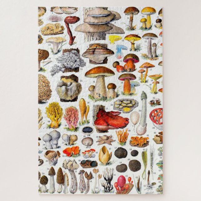 MUSHROOMS 2   JIGSAW PUZZLE (Vertical)