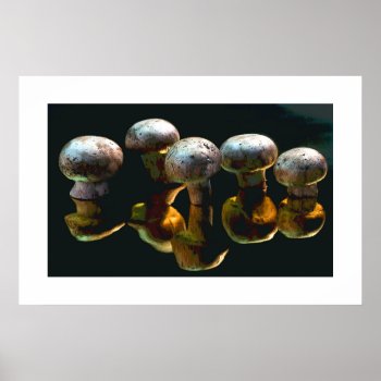 Mushrooms #2-poster Poster by rgkphoto at Zazzle
