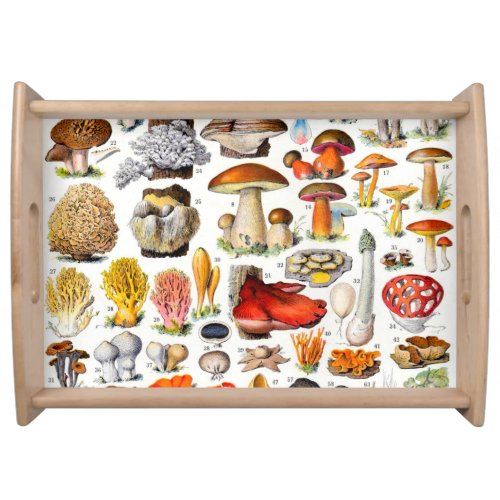 MUSHROOMS 2    SERVING TRAY