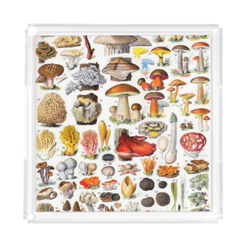 MUSHROOMS 2    SERVING TRAY