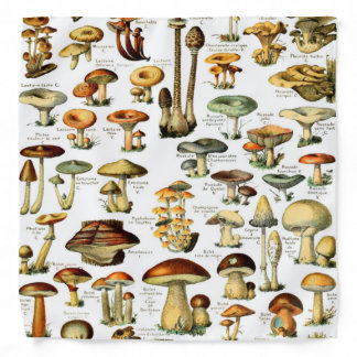 MUSHROOMS 4 BANDANA