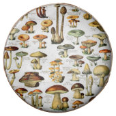 MUSHROOMS 4 CHOCOLATE COVERED OREO (Front)