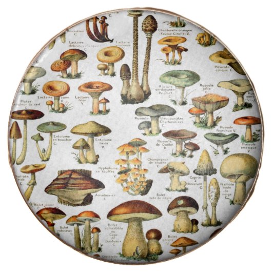 MUSHROOMS 4   CHOCOLATE COVERED OREO (Front)