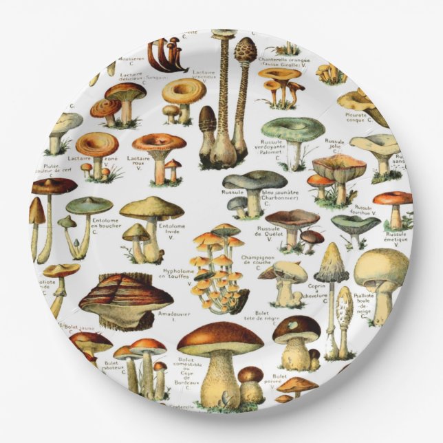 MUSHROOMS 4    PAPER PLATES (Front)