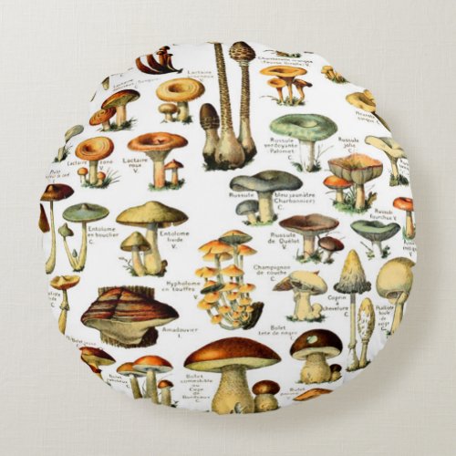 MUSHROOMS 4   PILLOW CASE