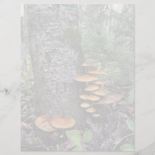 Mushrooms -  8.5" x 11" Stationery Sheet