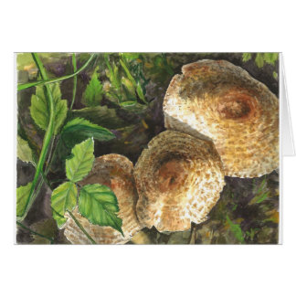 Mushrooms always attractive to the eyes of onlooke cards