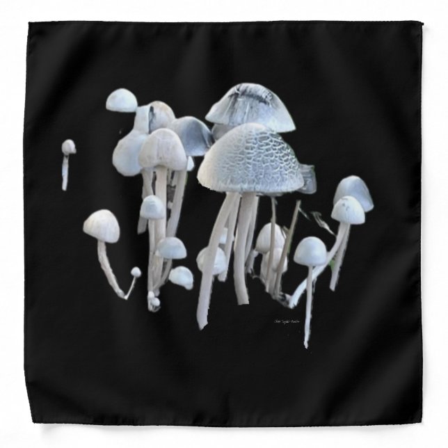 Mushrooms Bandana  (Front)
