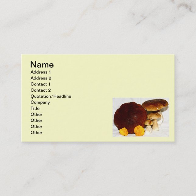 mushrooms business card (Front)