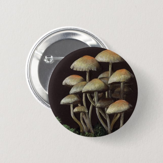 Mushrooms Button (Front & Back)