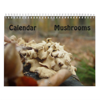 Mushrooms Calendar