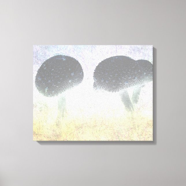 Mushrooms Canvas Print (Front)