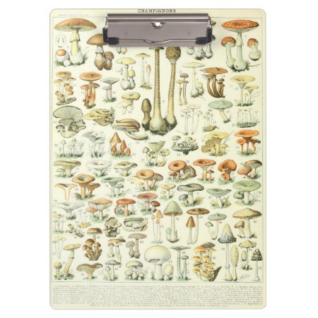 Mushrooms Clipboard