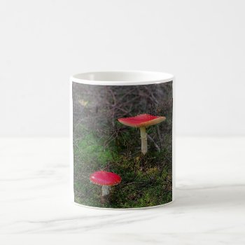 Mushrooms Coffee Mug by MehrFarbeImLeben at Zazzle