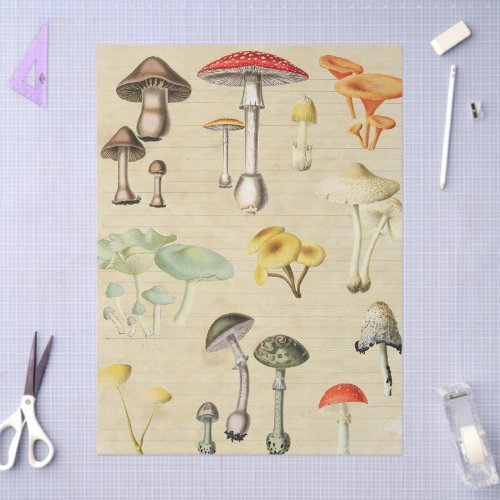 Mushrooms Collage  Tissue Paper