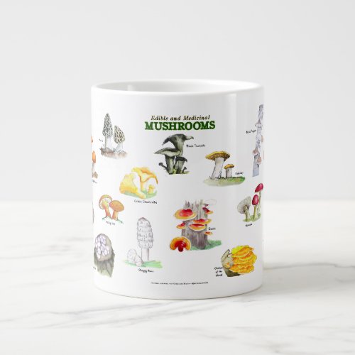 Mushrooms _Common Names Giant Coffee Mug