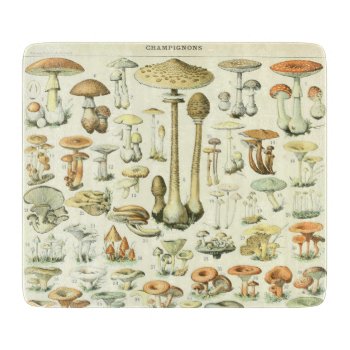 Mushrooms Cutting Board by The_Cambiki_Store at Zazzle