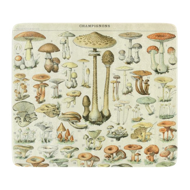 Mushrooms Cutting Board (Front)