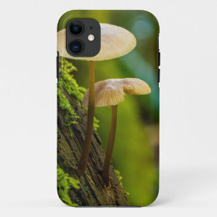 Mushrooms, fungi, mosses iPhone 11 case