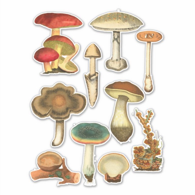 Mushrooms Fungi Plants Botanical Garden art Sticker (Front)