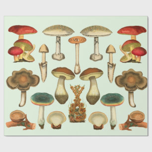 Mushrooms Fungi Plants Botanical Garden collage Wrapping Paper