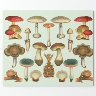 WOODLANDS MUSHROOMS Roll of THREE Wrapping Paper SHEETS (19x27)