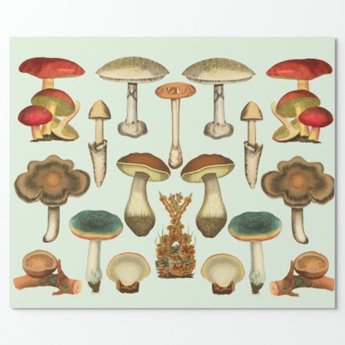  Mushrooms Fungi Plants Botanical Garden collage  Wrapping Paper