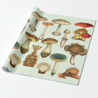 Vintage 1800s Mushroom Variety Mushrooms Template Wrapping Paper