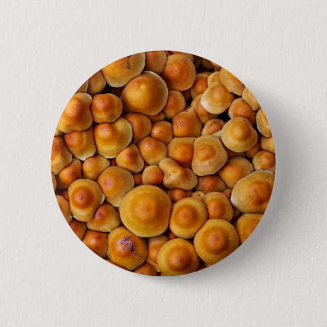 Mushrooms Fungus Button (Front)